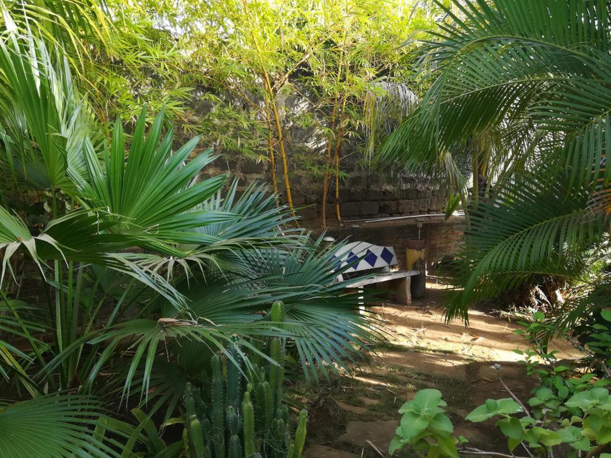 מלון לאון Harvest House Nicaragua מראה חיצוני תמונה