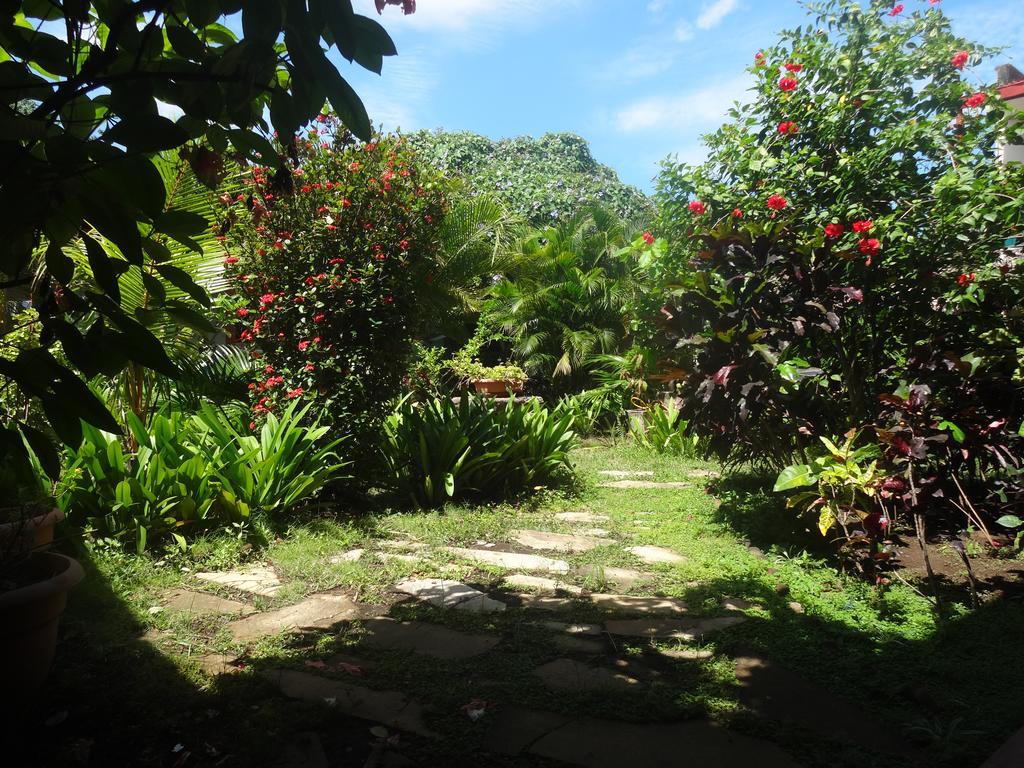 מלון לאון Harvest House Nicaragua מראה חיצוני תמונה